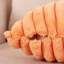 Coussin -23532636-23532664