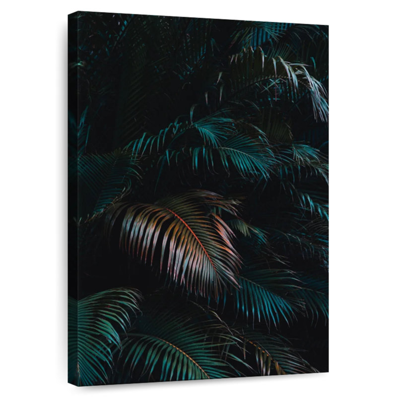 Harnek Bushy Majesty feuilles de palmier, H 24 po x l 16 po