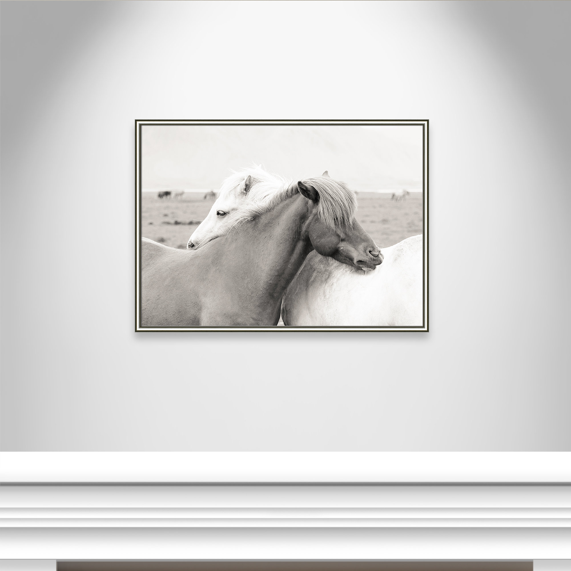 Icelandic Meadow Horses by Danita Delimont - Picture Frame Photograph on Paper, Silver Framed, 26.75" H x 36.75" W x 0.88" D
