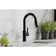 Avado Pull Down Bar Faucet