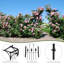 Breffney 204cm W x 51cm D Metal Arbour in Black