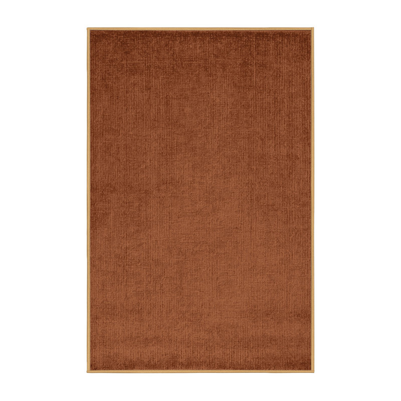 Machine Washable Solid Brown Area Rug, Rectangle 2' x 3'