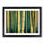 Black Frame selected