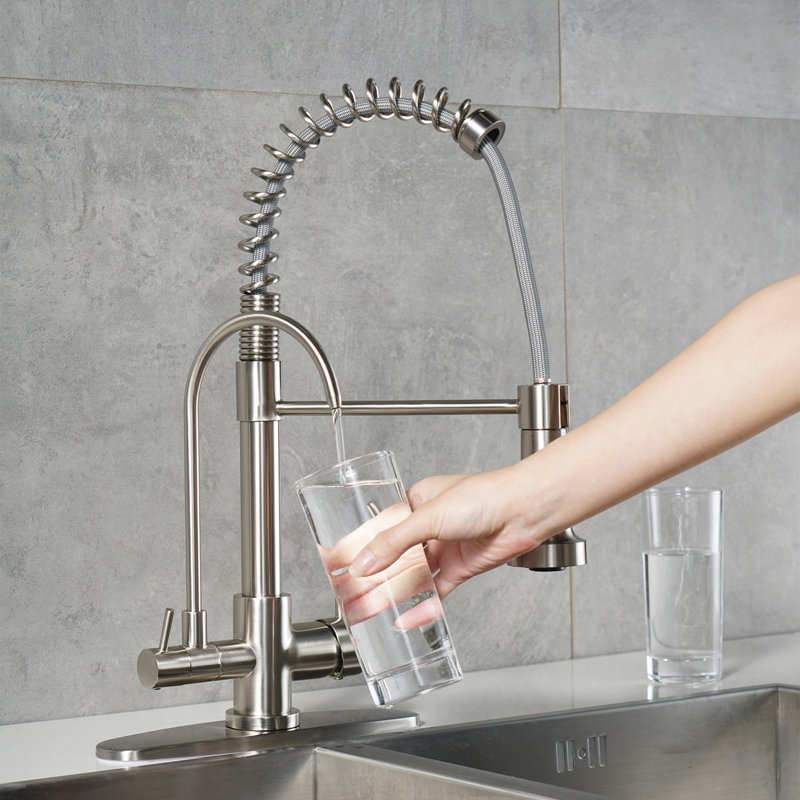 3 in 1 Water Filter Purifier Spring Drinking Water Kitchen Faucet with Sprayer, Brushed Nickel
