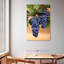 Raisins sur la vigne-117533146