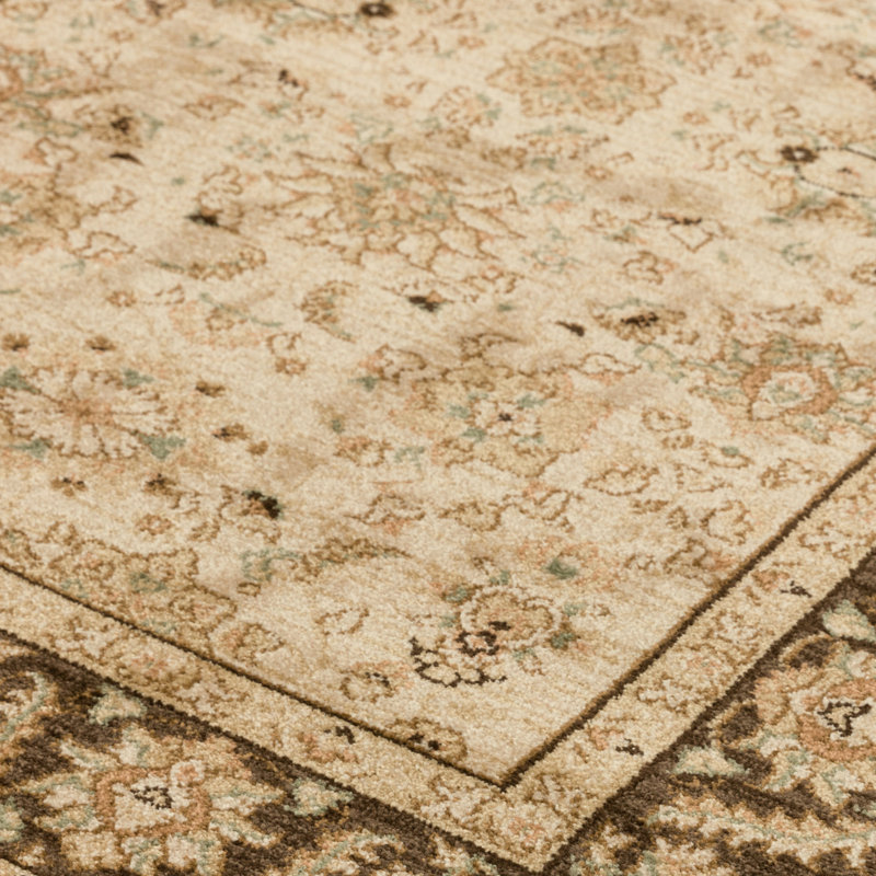 Aguilar Oriental Area Rug, Rectangle 200 x 300cm