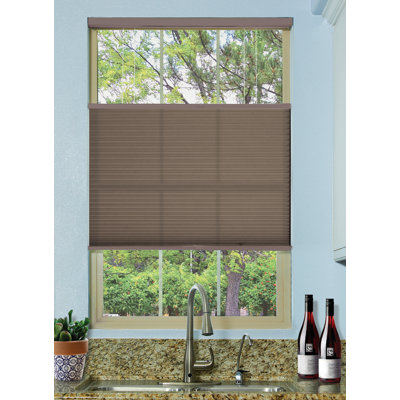 Cordless Semi Sheer Cellular Shade