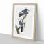 Mississippi Kite Birds by John James Audubon - Picture Frame Art Print-55610407-55610408