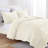 Marcielo Oversized Embroidered Velvet Quilt Set With 2 Pillow Shams-103554285-103554293