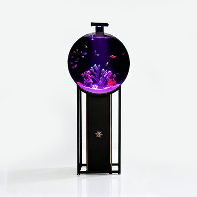 Creative Circular-Shape Acrylic Aquariums Tank