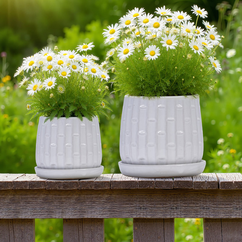 8" Outdoor Indoor Modern Ceramic Pot Planter Decorative Planter with Drainage Hole Patio Flower Pot for Garden Living Room Set of 2