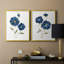 Coquelicots bleus - reproduction encadrée de qualité supérieure - prête à être accrochée - aucun clou requis - aucun clou requis-1696152227-1696152224