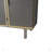 Anthoula Metal Accent Cabinet