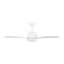Ventilateur de plafond avec lumières DEL Aida-304608585-304608587-304608586