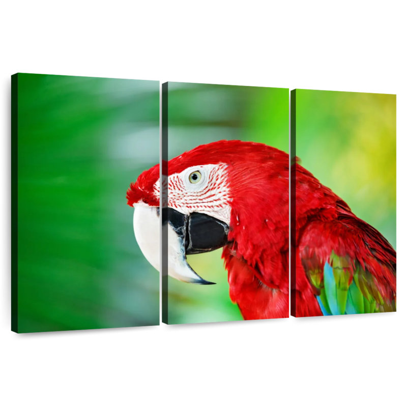Brampt Jungle Scarlet Macaw, 32" H x 50" W