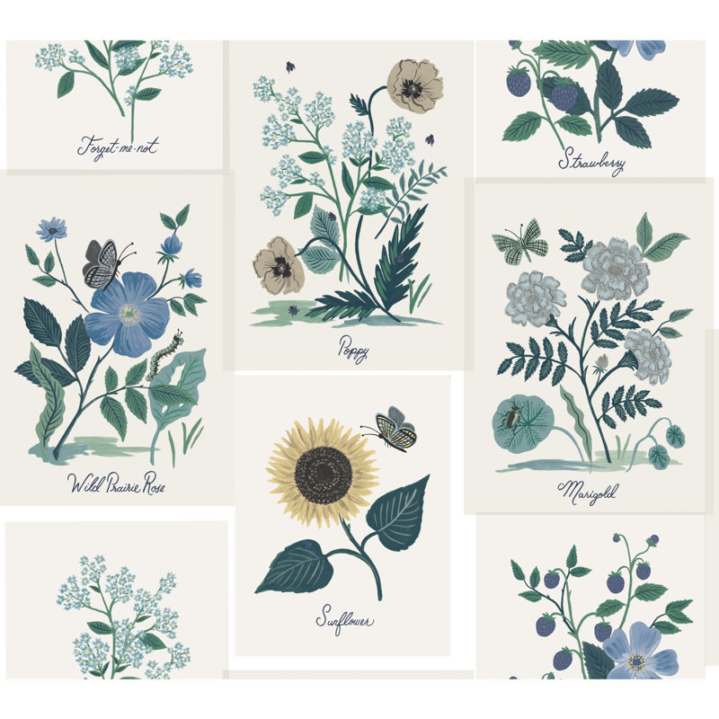 Rouleau de papier peint lisse L 27 po x l 27 po Botanical Prints, Blanc / Bleu