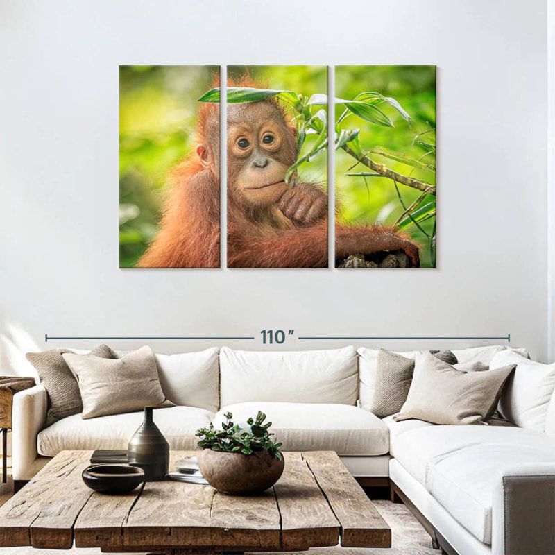 Brampt Leaf Munching Orangutan, 48" H x 74" W