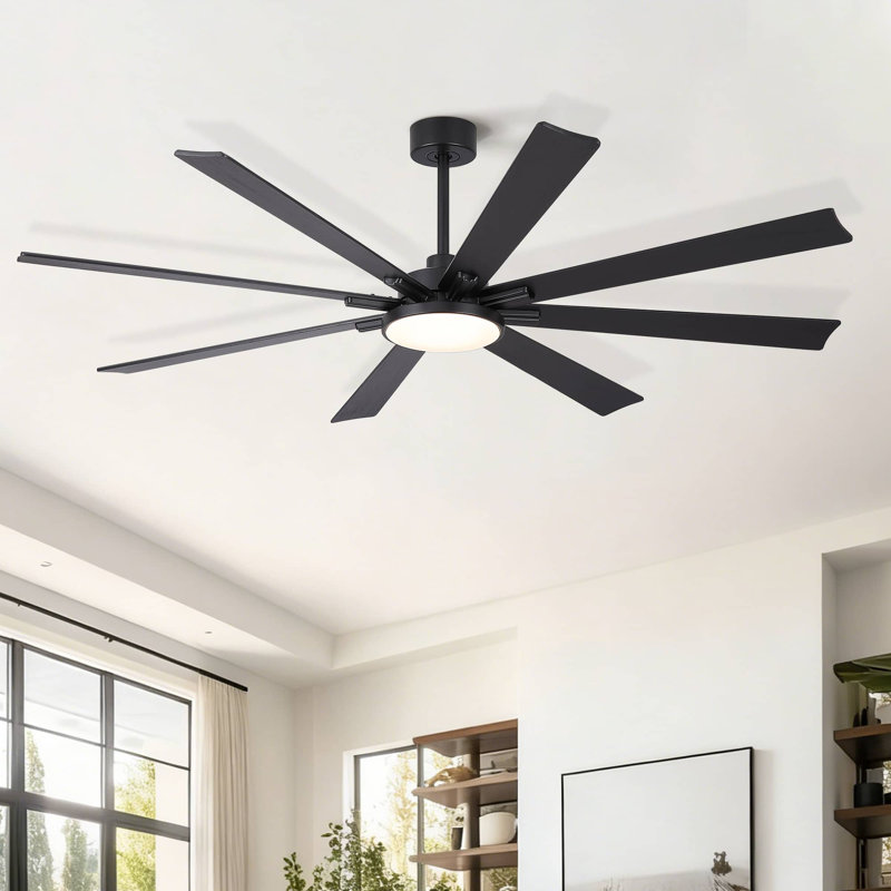 Ventilateur de plafond à hélice intégré avec pales et lumière de 8 pouces Homegrain, Noir + pales noires