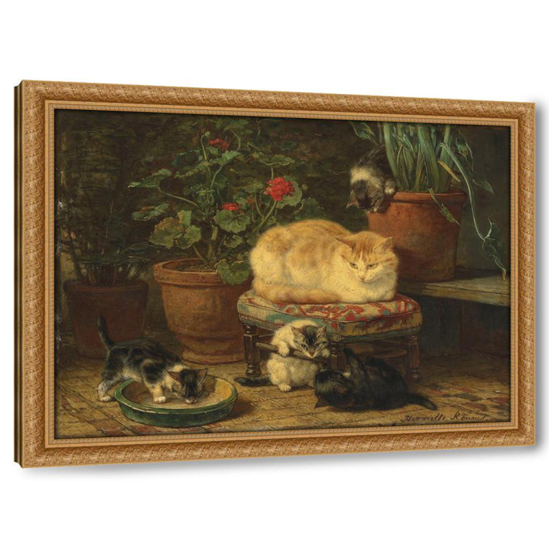 Kittens At Play