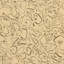 Black On Cream Glimmer Print by Laurel-Dawn Latshaw-2018986100