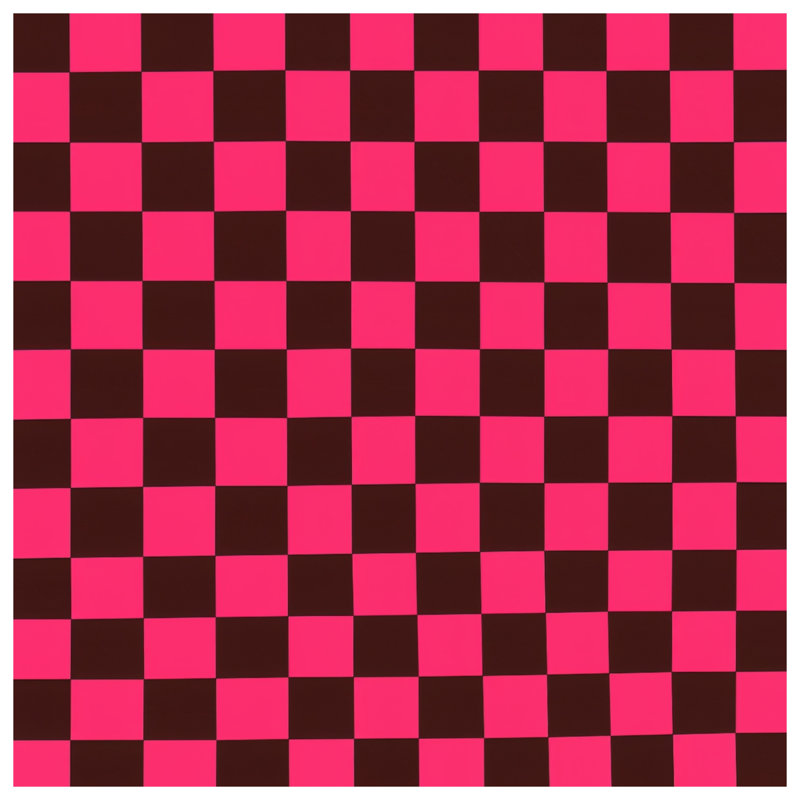 Pink Black Checkered Blankets, 50in W x 60in H