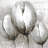 Three White Tulips Print On Canvas