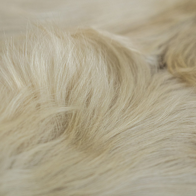 Tapis en cuir de vache champagne - Tapis en cuir véritable, Nouveauté de 7 pi x 8 pi 6 po