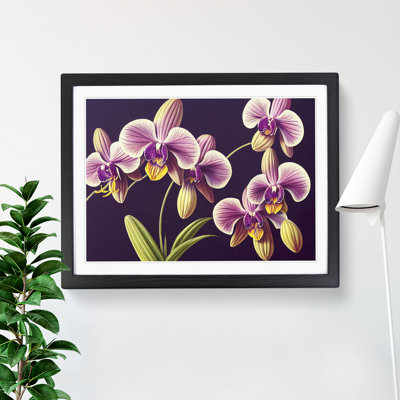 Captivating Orchid Flowers - Framed Print