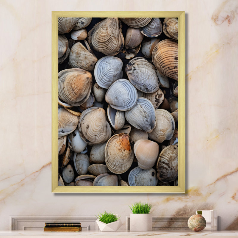 «Lakari Grey Clam Coastal Harmony IV», reproduction sur toile, H 32 po x l 16 po x P 1 po, Encadrement doré