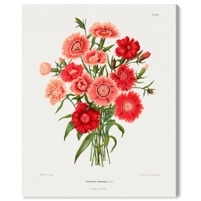 «Rainbow Pink Flower» par Wendel, toile par Art Remedy