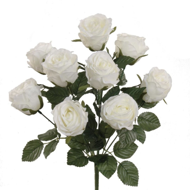 Roses, buissons
