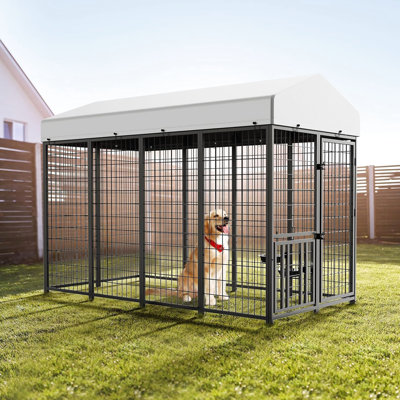 Enclos extérieur pour chien: construction, toit amovible décoloré, abri facile pour les grands animaux de compagnie: bols rotatifs, nettoyage imperméable