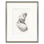 Study I-IV Set Set by Susan Hable