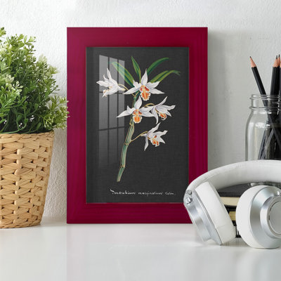 Orchidée sur ardoise IV - reproduction d'un seul cadre photo
