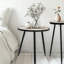 Ensemble de 2 tables d'appoint, tables de bout et supports à plantes