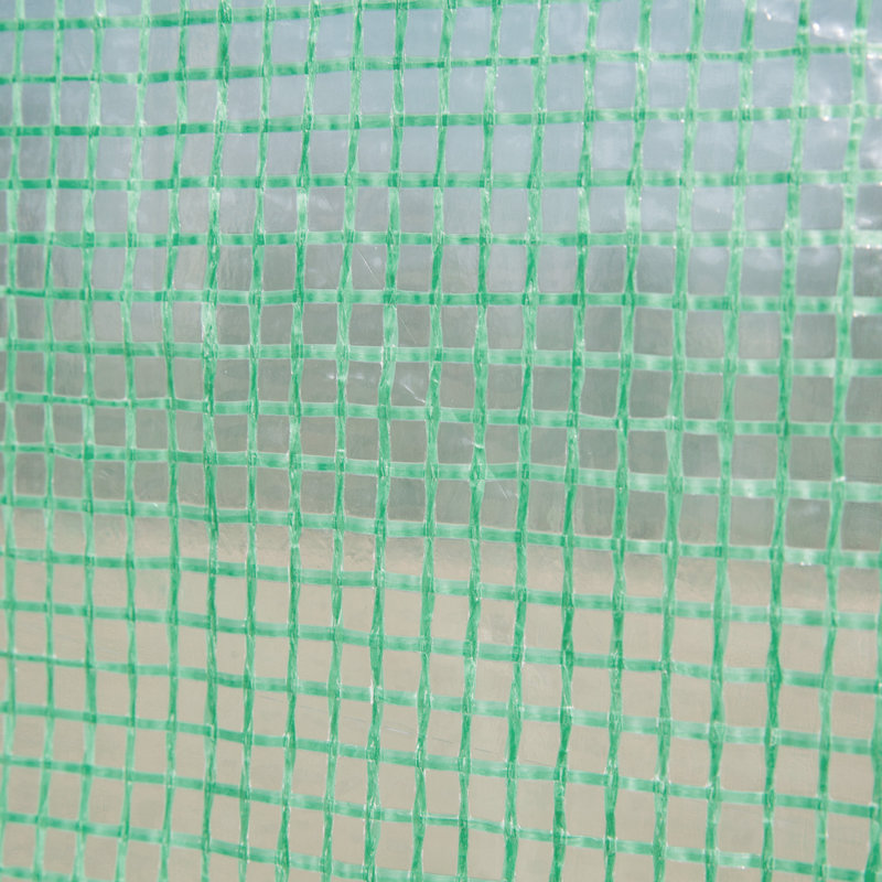 Stellan Walk-In Polytunnel Greenhouse With Roll-Up Doors And Durable PE Cover
