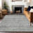 Machine Washable Indoor/Outdoor Claudian ACN1634 Gray Rug-104235987