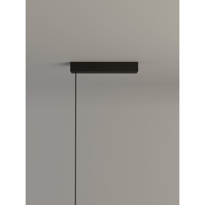 Cirio Lineal: 1 Module