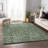 Premium Machine Washable Mayfield AMF40 Oriental Rug-1431383007-1431383005