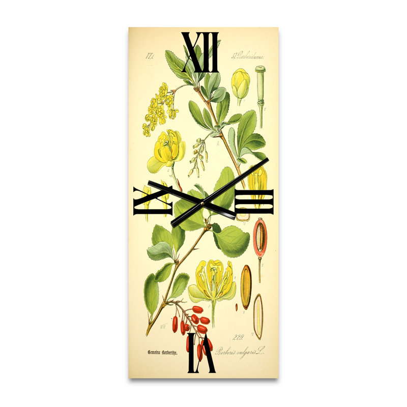Horloge murale Plant Life II, Petit