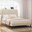Lit plateforme double, cadre de lit en métal avec tête de chargement USB, aucun sommier requis, silencieux, assemblage facile, beige-115735462