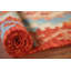 South Western Kilim Oriental Accent Rug 4x5