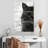 Brampt Black And White Cat-108536458