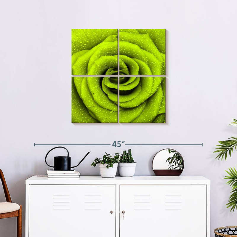 Dewy Green Rose, 26" H x 26" W