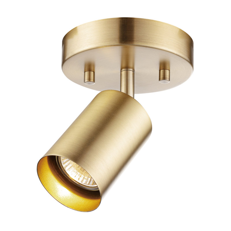 Ulverst Matte Adjustable Track Lighting Head, Brass