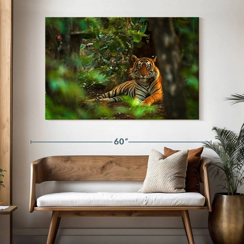 Brampt Indian Tiger, 34" H x 51" W