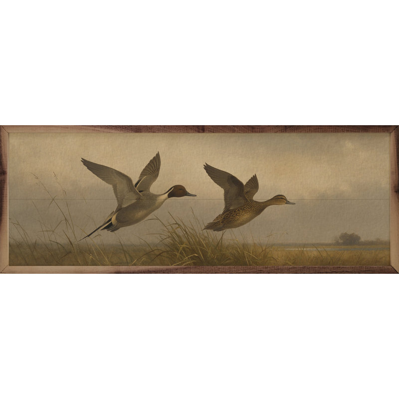 Canards volants vintage à queue pointue, 36x12