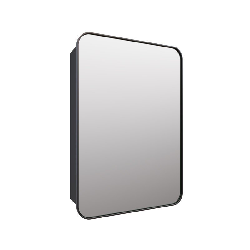 Stainless Steel Recessed Framed Single Door Medicine Cabinet with Adjustable Shelves, Black