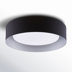 Black/Silver