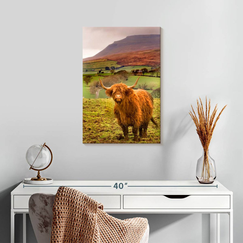 Brampt Bowland Highland Cow, H 24 po x l 16 po